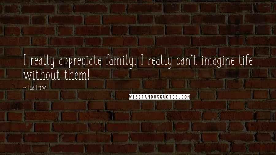 Ice Cube Quotes: I really appreciate family. I really can't imagine life without them!