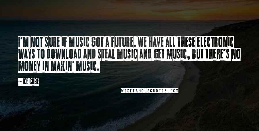 Ice Cube Quotes: I'm not sure if music got a future. We have all these electronic ways to download and steal music and get music, but there's no money in makin' music.