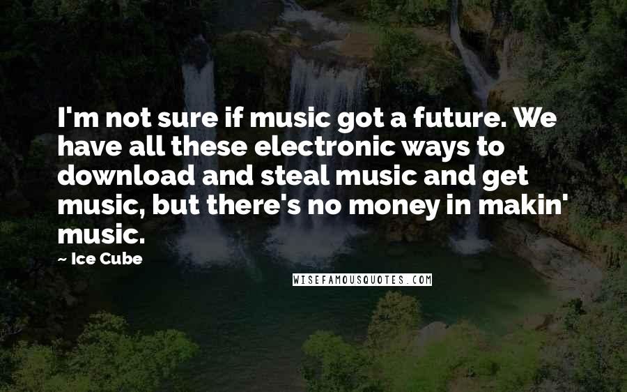 Ice Cube Quotes: I'm not sure if music got a future. We have all these electronic ways to download and steal music and get music, but there's no money in makin' music.