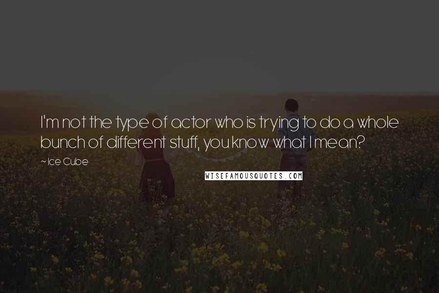 Ice Cube Quotes: I'm not the type of actor who is trying to do a whole bunch of different stuff, you know what I mean?