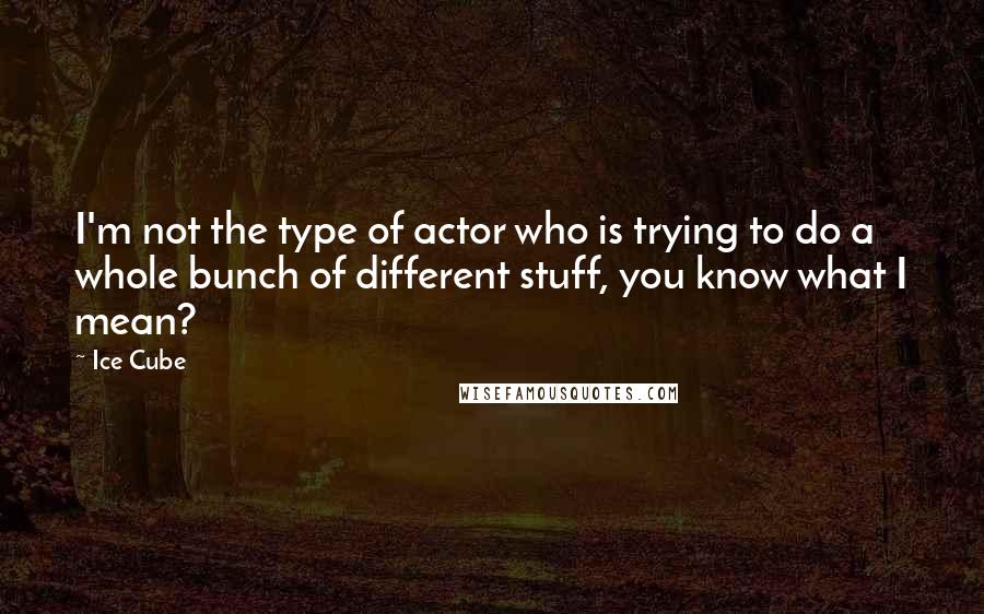 Ice Cube Quotes: I'm not the type of actor who is trying to do a whole bunch of different stuff, you know what I mean?