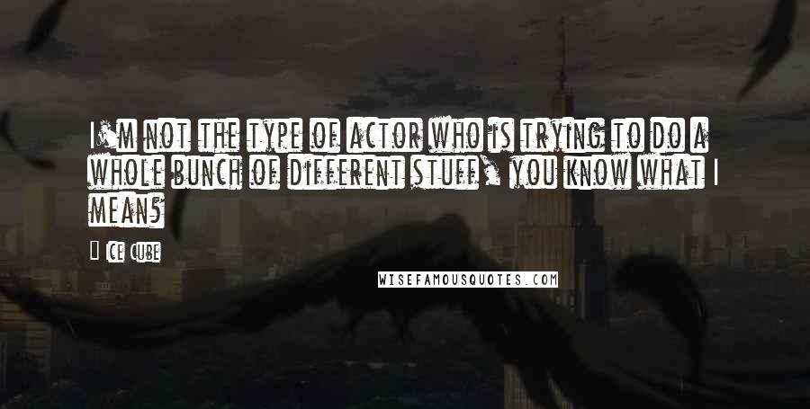Ice Cube Quotes: I'm not the type of actor who is trying to do a whole bunch of different stuff, you know what I mean?