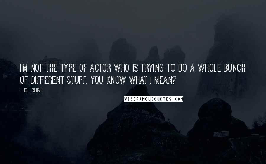 Ice Cube Quotes: I'm not the type of actor who is trying to do a whole bunch of different stuff, you know what I mean?