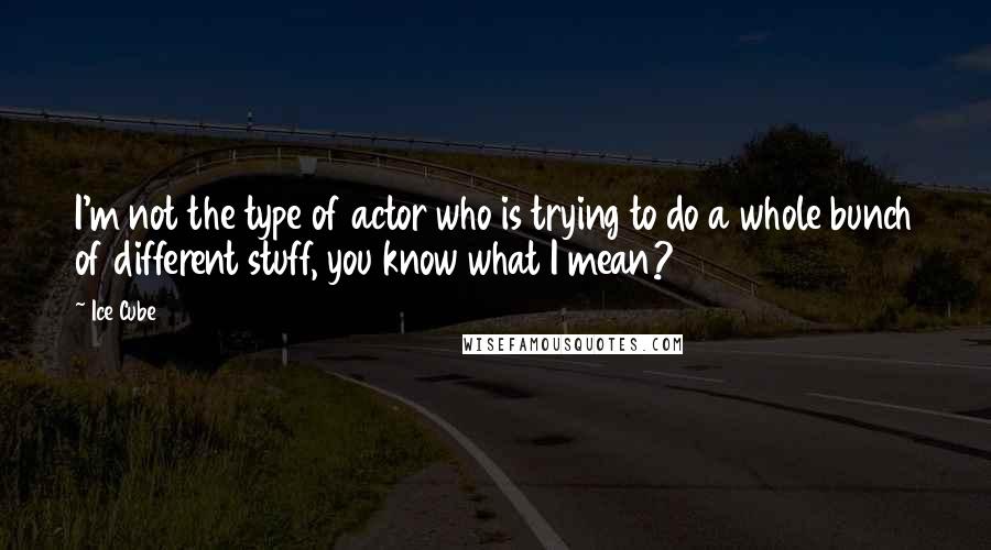 Ice Cube Quotes: I'm not the type of actor who is trying to do a whole bunch of different stuff, you know what I mean?