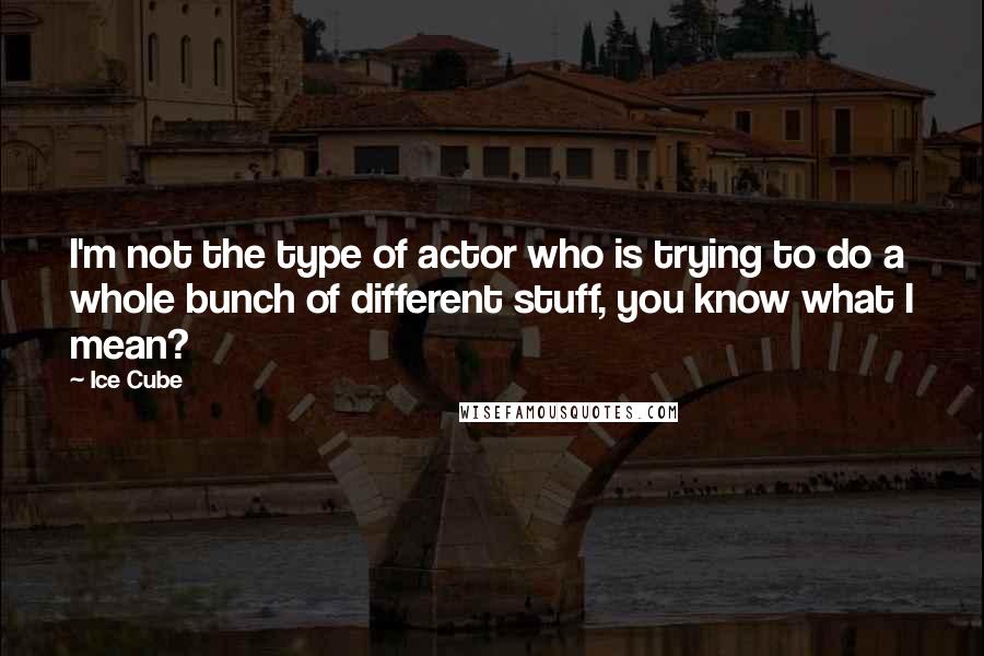 Ice Cube Quotes: I'm not the type of actor who is trying to do a whole bunch of different stuff, you know what I mean?