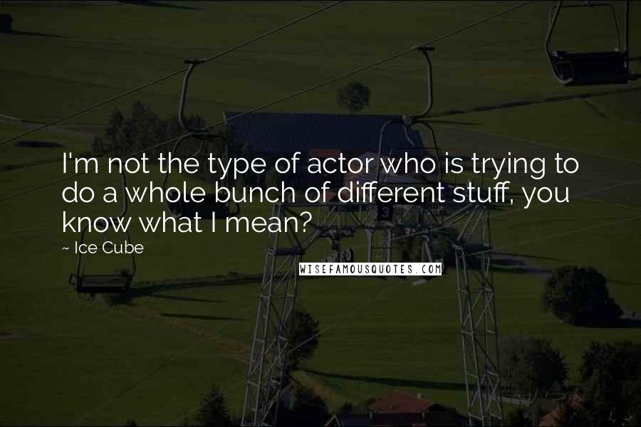Ice Cube Quotes: I'm not the type of actor who is trying to do a whole bunch of different stuff, you know what I mean?