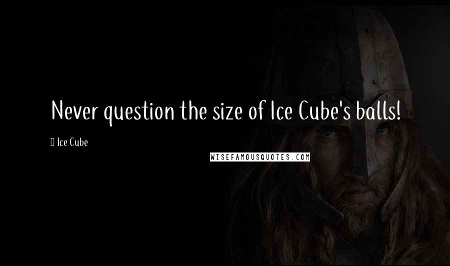 Ice Cube Quotes: Never question the size of Ice Cube's balls!