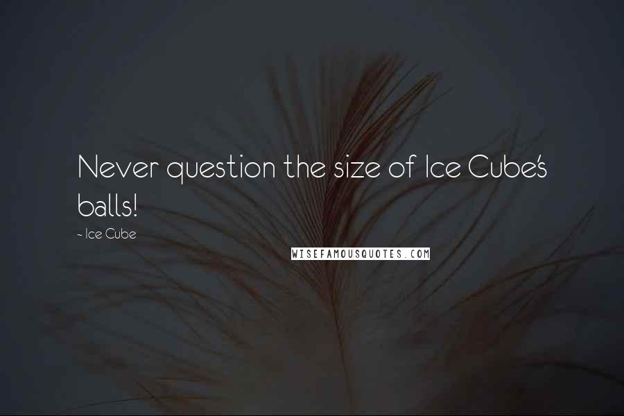 Ice Cube Quotes: Never question the size of Ice Cube's balls!