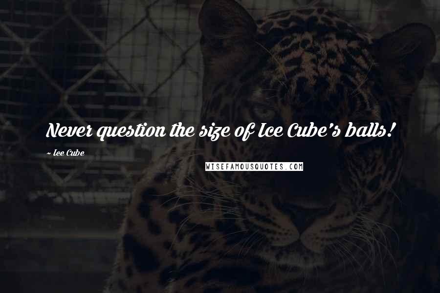 Ice Cube Quotes: Never question the size of Ice Cube's balls!