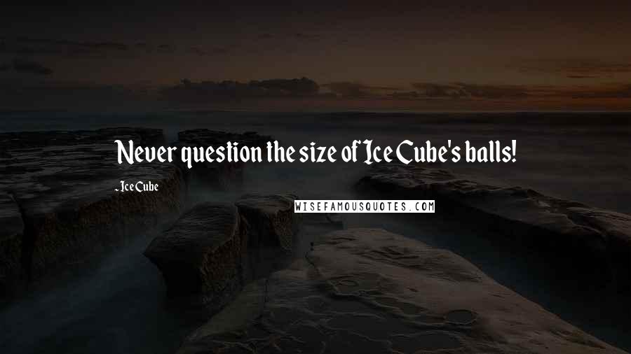 Ice Cube Quotes: Never question the size of Ice Cube's balls!