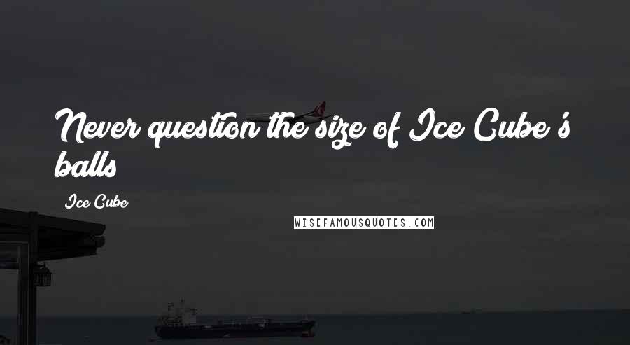 Ice Cube Quotes: Never question the size of Ice Cube's balls!
