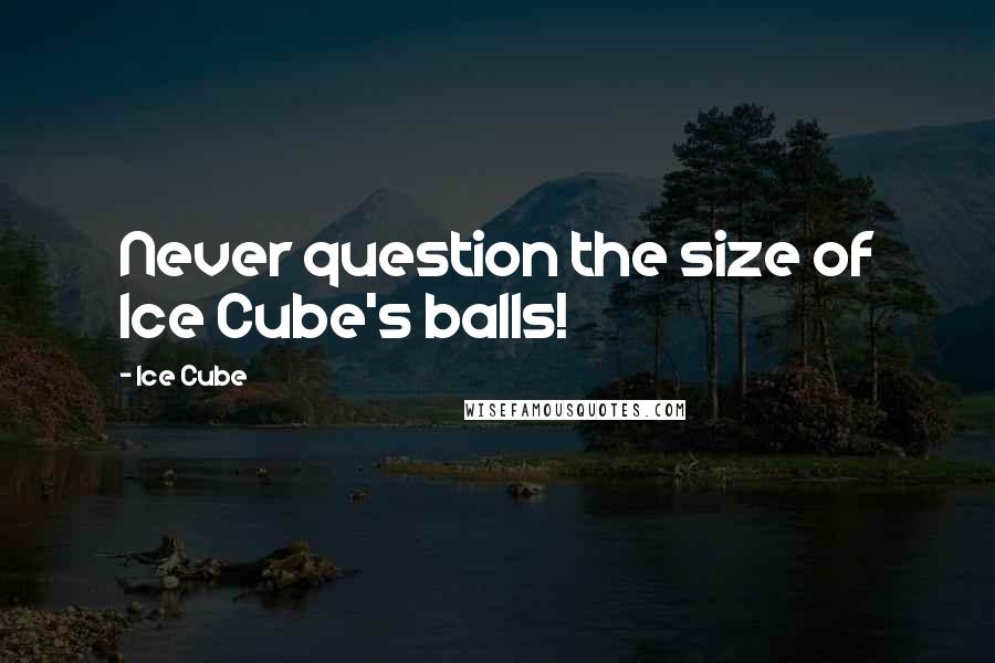 Ice Cube Quotes: Never question the size of Ice Cube's balls!
