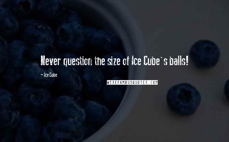 Ice Cube Quotes: Never question the size of Ice Cube's balls!