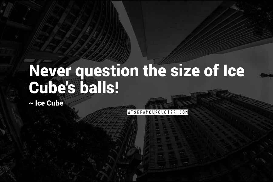 Ice Cube Quotes: Never question the size of Ice Cube's balls!