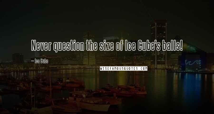 Ice Cube Quotes: Never question the size of Ice Cube's balls!