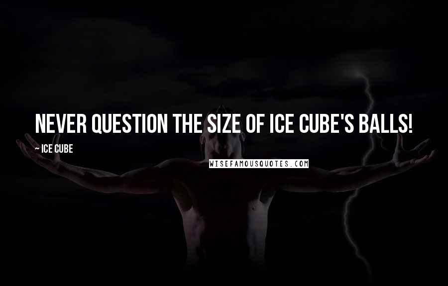 Ice Cube Quotes: Never question the size of Ice Cube's balls!