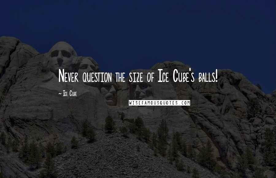 Ice Cube Quotes: Never question the size of Ice Cube's balls!
