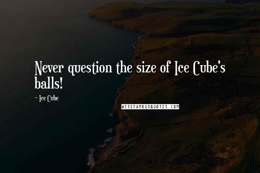 Ice Cube Quotes: Never question the size of Ice Cube's balls!
