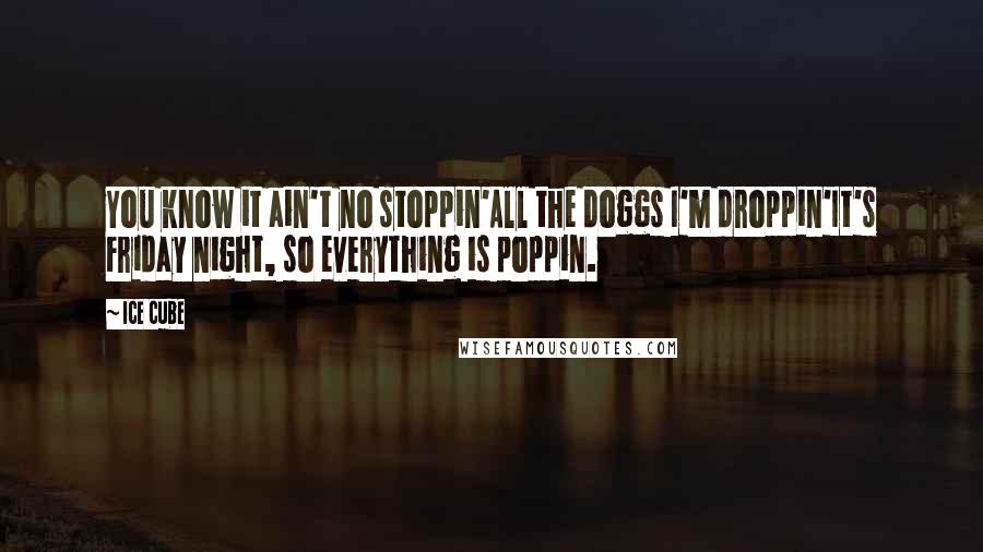 Ice Cube Quotes: You know it ain't no stoppin'All the doggs I'm droppin'It's Friday night, so everything is poppin.