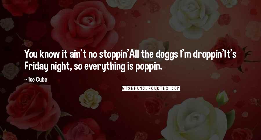 Ice Cube Quotes: You know it ain't no stoppin'All the doggs I'm droppin'It's Friday night, so everything is poppin.