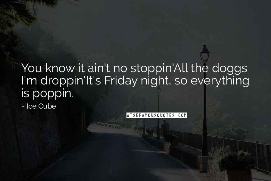 Ice Cube Quotes: You know it ain't no stoppin'All the doggs I'm droppin'It's Friday night, so everything is poppin.