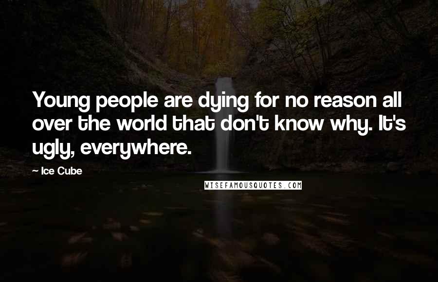 Ice Cube Quotes: Young people are dying for no reason all over the world that don't know why. It's ugly, everywhere.