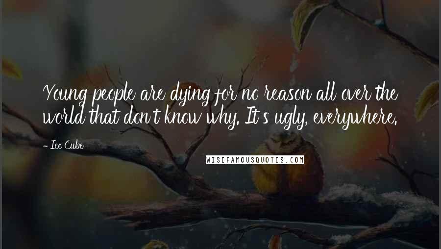 Ice Cube Quotes: Young people are dying for no reason all over the world that don't know why. It's ugly, everywhere.