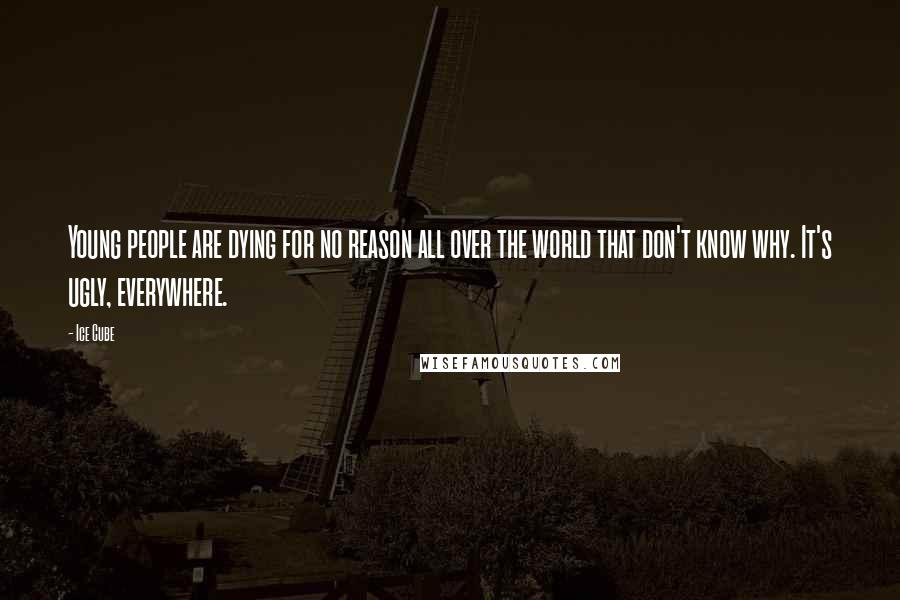 Ice Cube Quotes: Young people are dying for no reason all over the world that don't know why. It's ugly, everywhere.