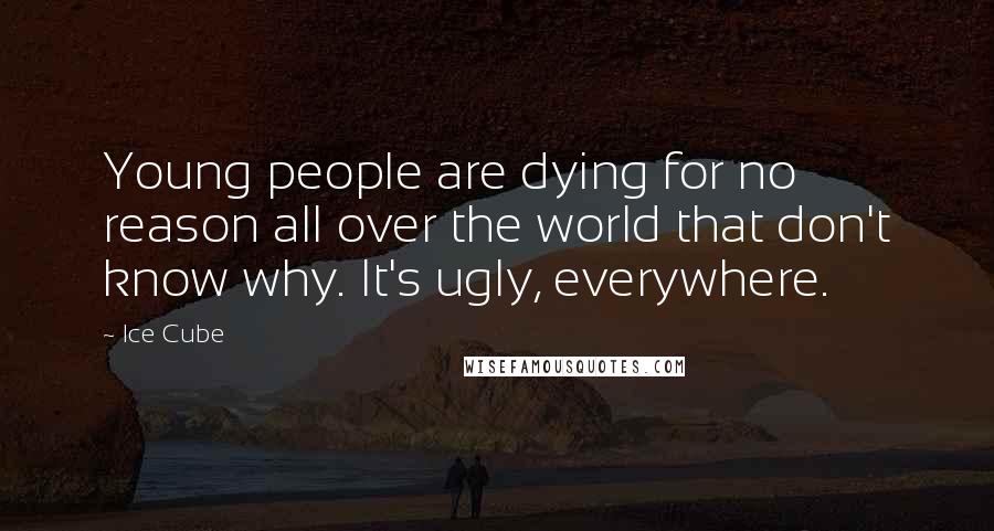 Ice Cube Quotes: Young people are dying for no reason all over the world that don't know why. It's ugly, everywhere.