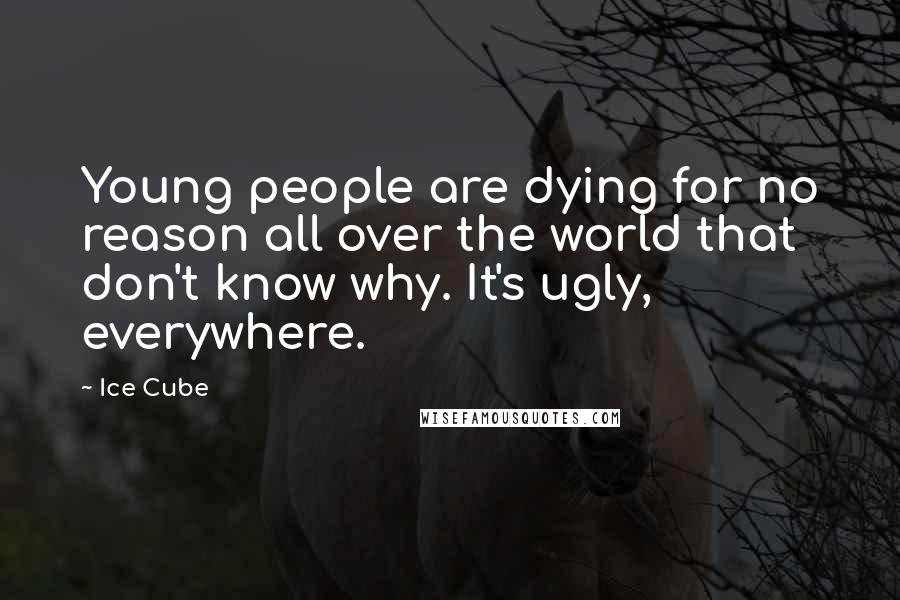 Ice Cube Quotes: Young people are dying for no reason all over the world that don't know why. It's ugly, everywhere.