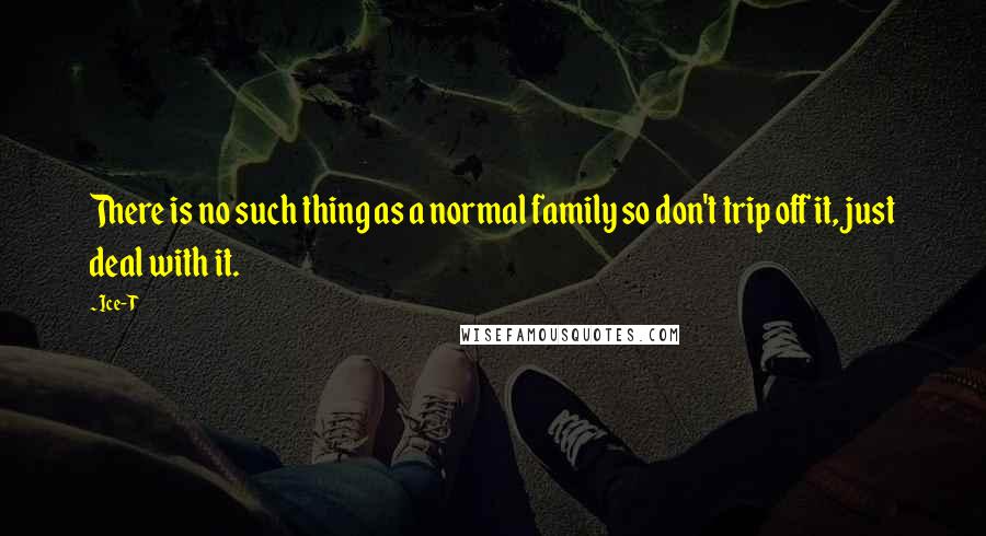 Ice-T Quotes: There is no such thing as a normal family so don't trip off it, just deal with it.