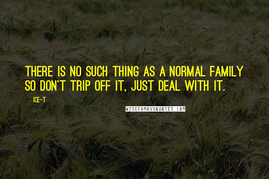 Ice-T Quotes: There is no such thing as a normal family so don't trip off it, just deal with it.