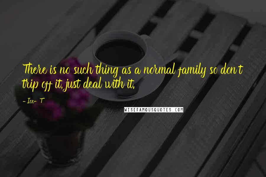 Ice-T Quotes: There is no such thing as a normal family so don't trip off it, just deal with it.