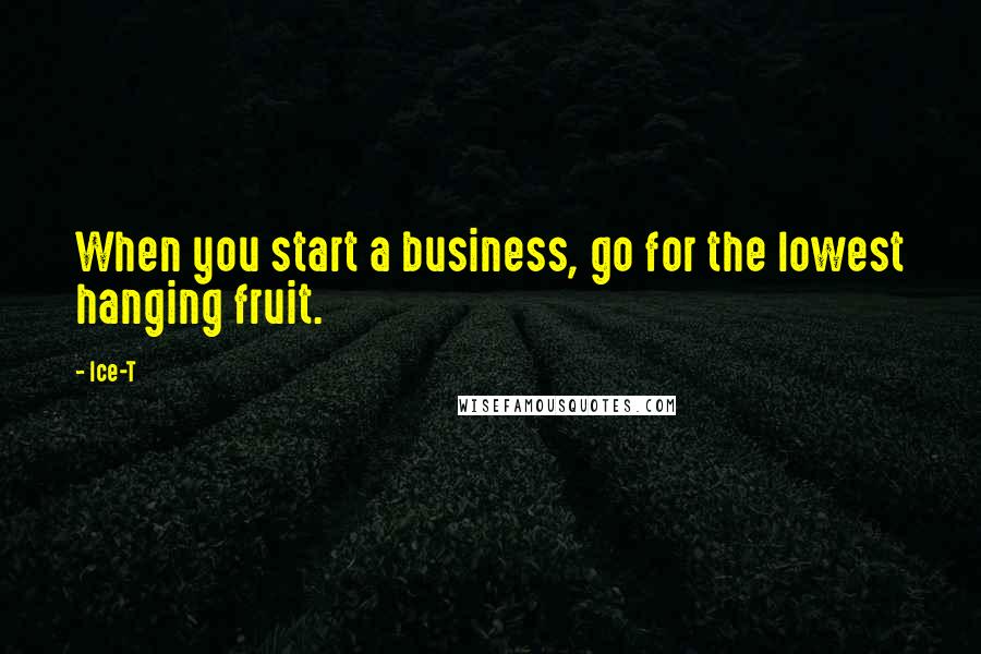 Ice-T Quotes: When you start a business, go for the lowest hanging fruit.