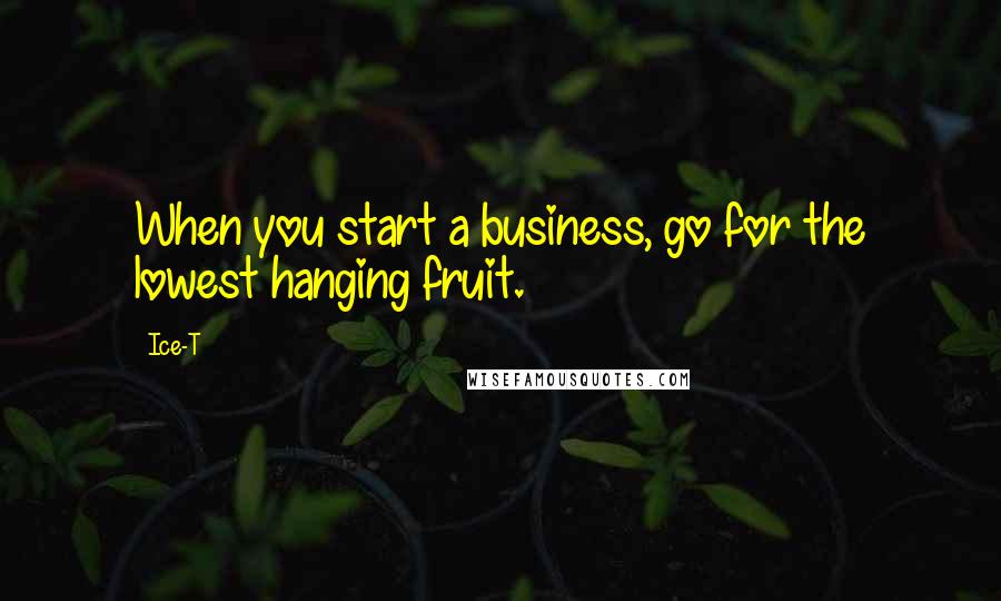 Ice-T Quotes: When you start a business, go for the lowest hanging fruit.