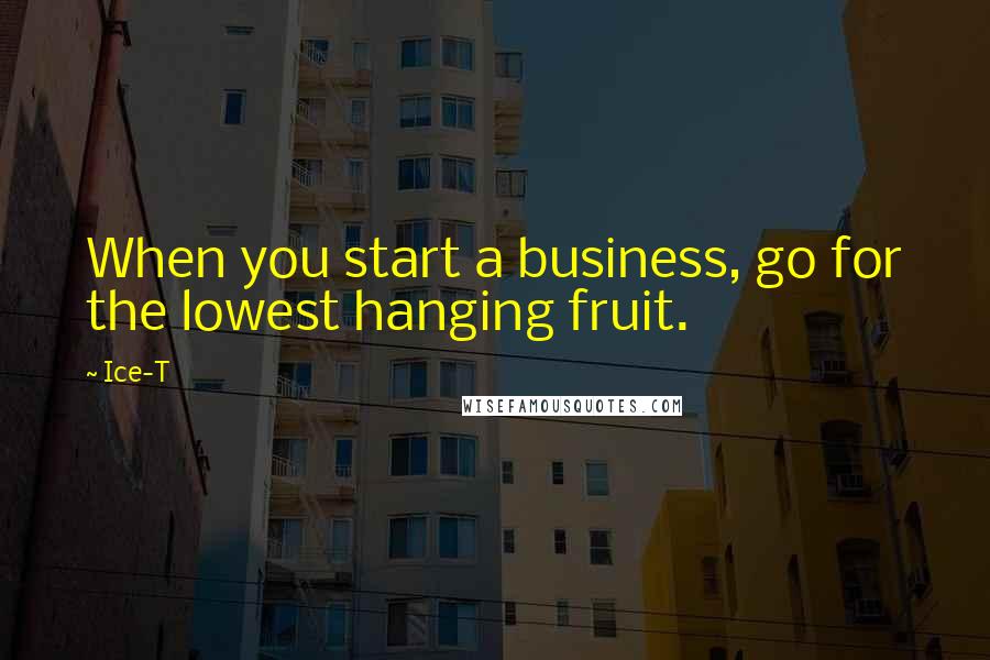 Ice-T Quotes: When you start a business, go for the lowest hanging fruit.