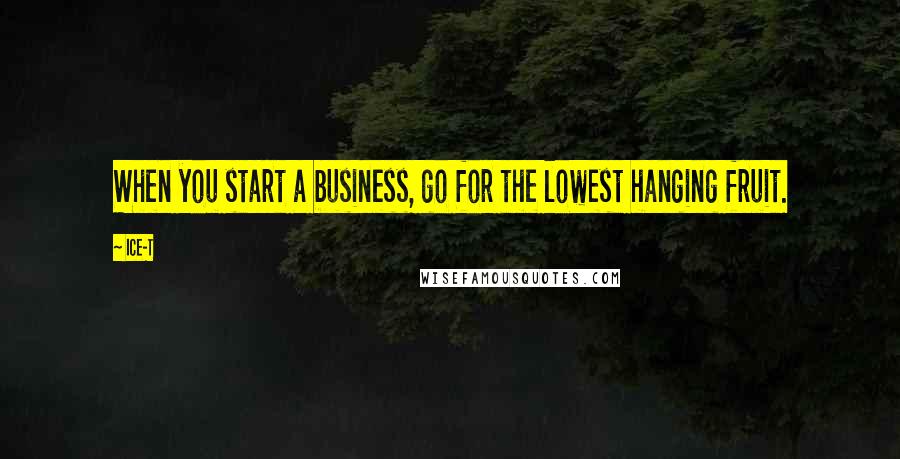 Ice-T Quotes: When you start a business, go for the lowest hanging fruit.