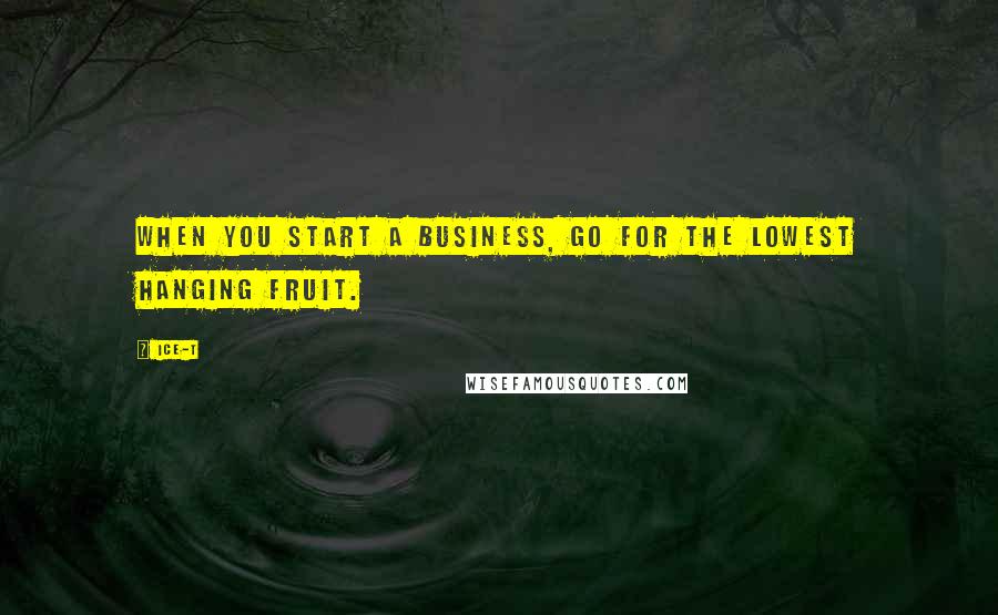 Ice-T Quotes: When you start a business, go for the lowest hanging fruit.