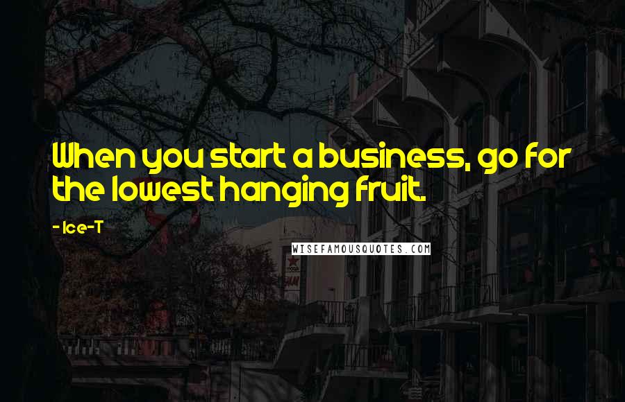Ice-T Quotes: When you start a business, go for the lowest hanging fruit.