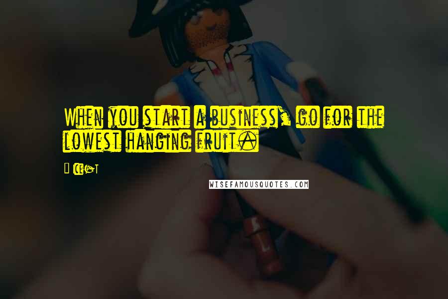 Ice-T Quotes: When you start a business, go for the lowest hanging fruit.