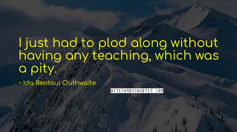 Ida Rentoul Outhwaite Quotes: I just had to plod along without having any teaching, which was a pity.