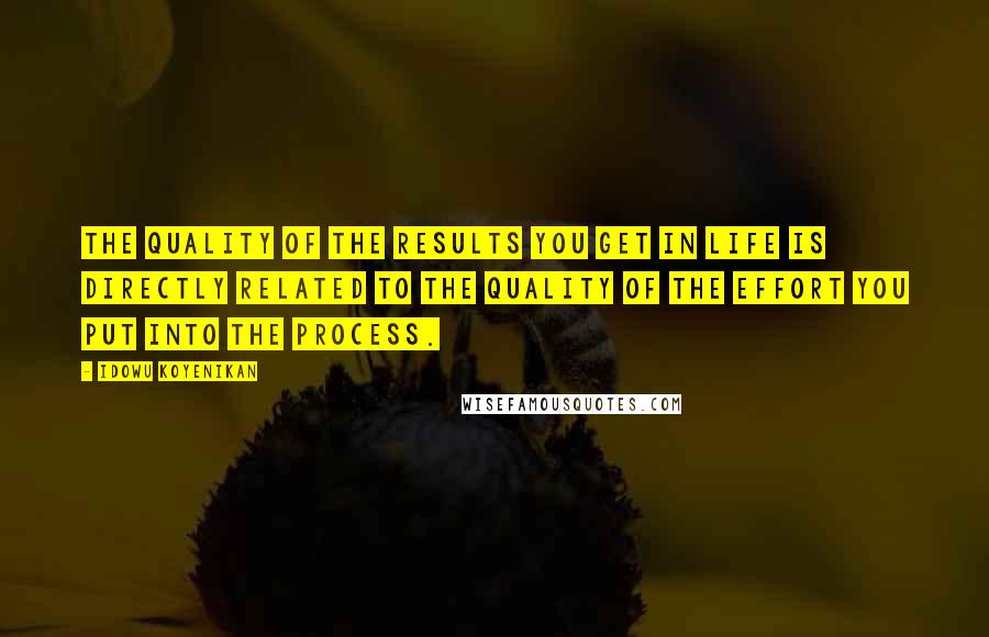 Idowu Koyenikan Quotes: The quality of the results you get in life is directly related to the quality of the effort you put into the process.