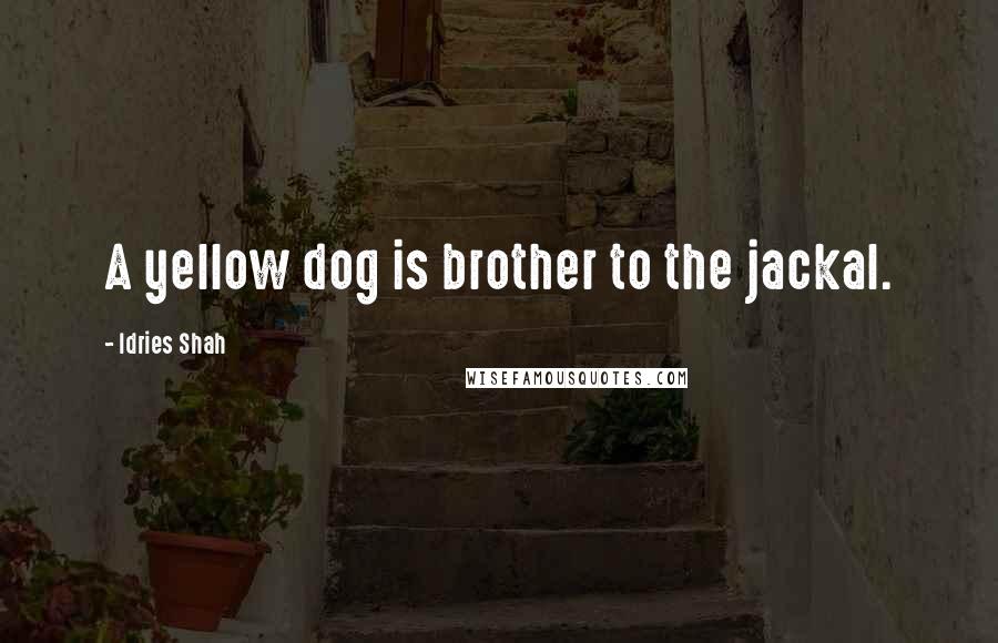 Idries Shah Quotes: A yellow dog is brother to the jackal.