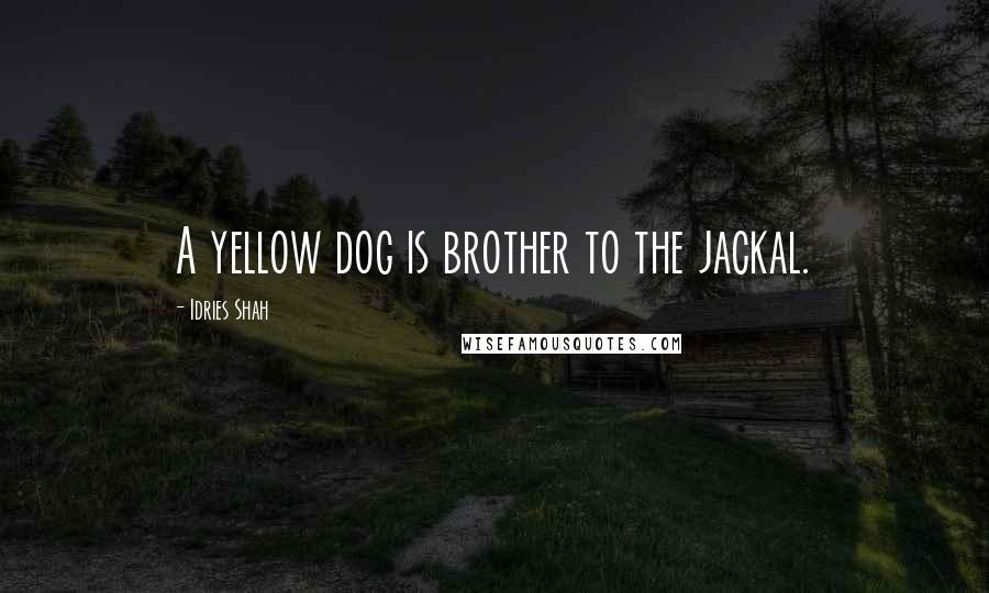 Idries Shah Quotes: A yellow dog is brother to the jackal.