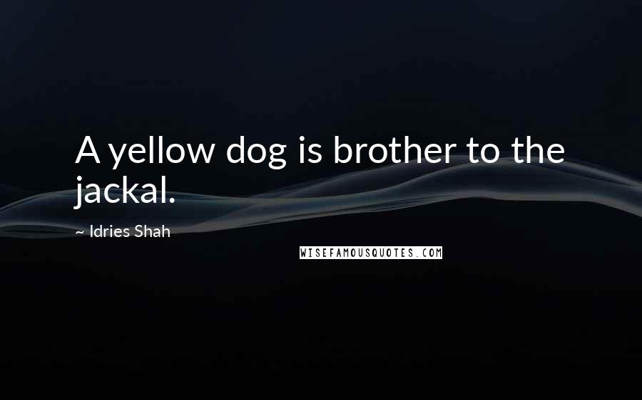 Idries Shah Quotes: A yellow dog is brother to the jackal.