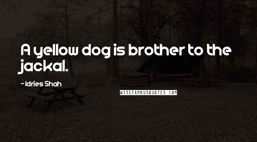 Idries Shah Quotes: A yellow dog is brother to the jackal.