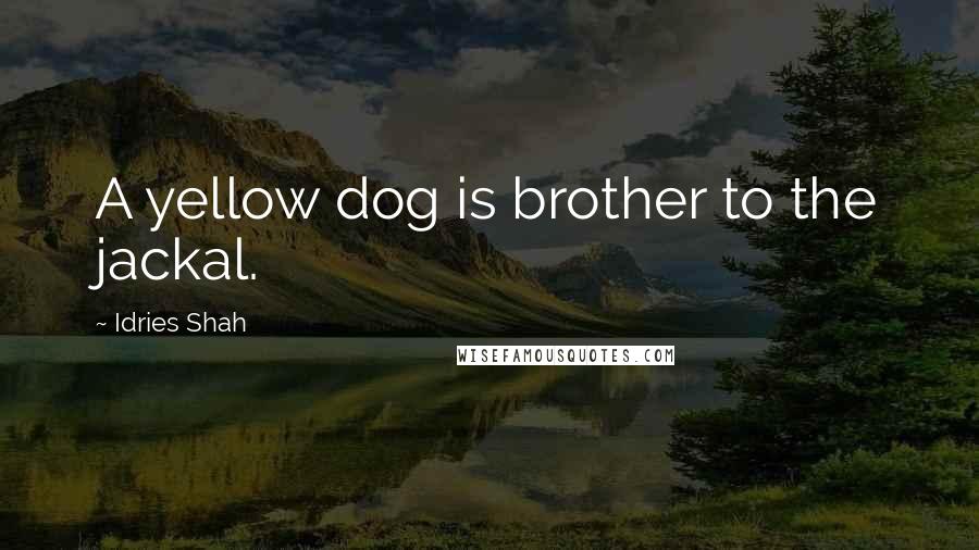 Idries Shah Quotes: A yellow dog is brother to the jackal.