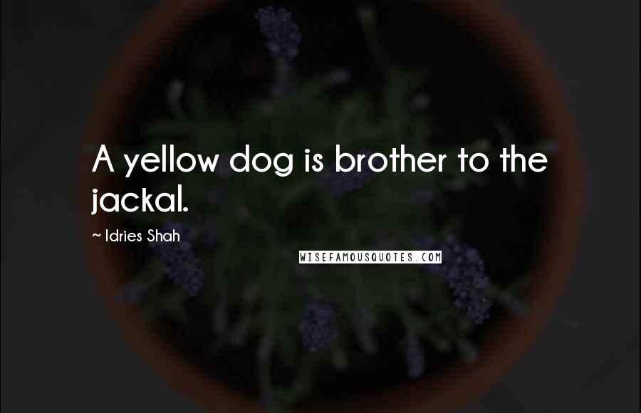 Idries Shah Quotes: A yellow dog is brother to the jackal.