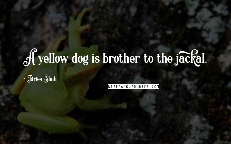 Idries Shah Quotes: A yellow dog is brother to the jackal.