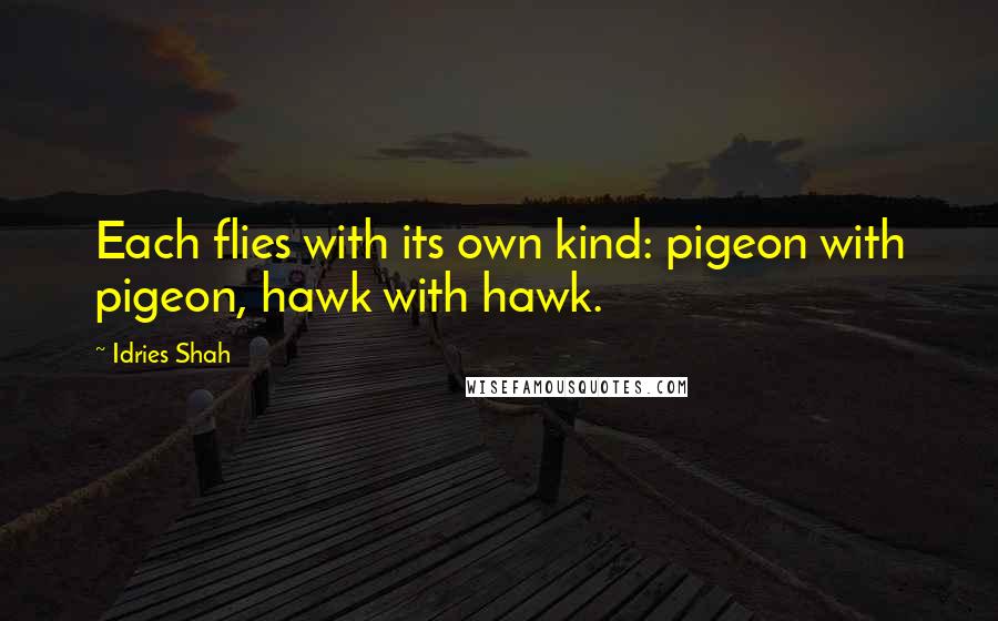 Idries Shah Quotes: Each flies with its own kind: pigeon with pigeon, hawk with hawk.